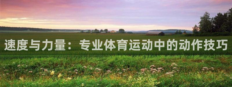 中欧体育客服：速度与力量：专业体育运动中的动作技巧